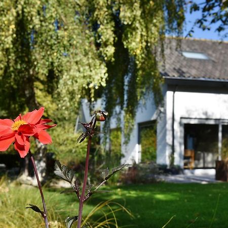Villa Astrantia Bruinisse Exterior foto